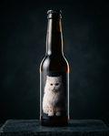101 Gatti – Persiano Birra Artigianale Premium